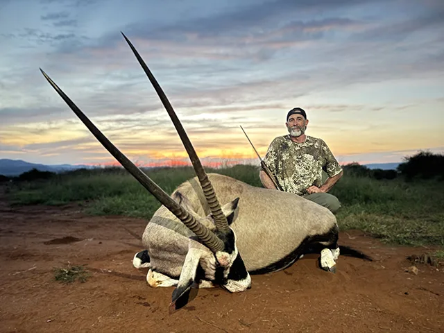 Gemsbok