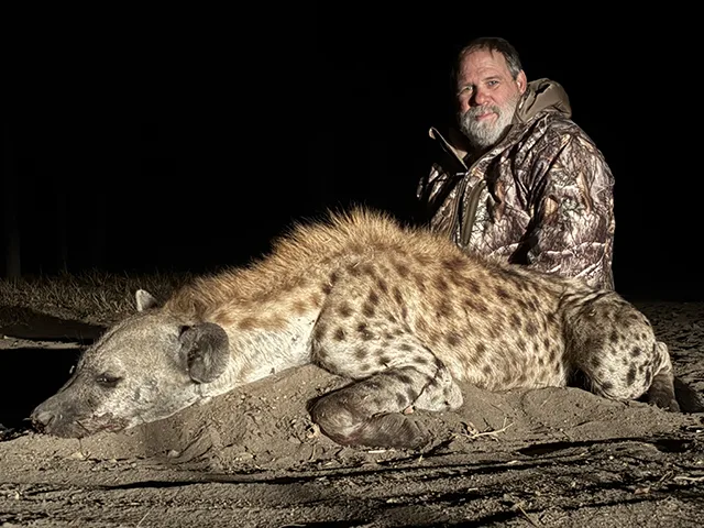 hyena