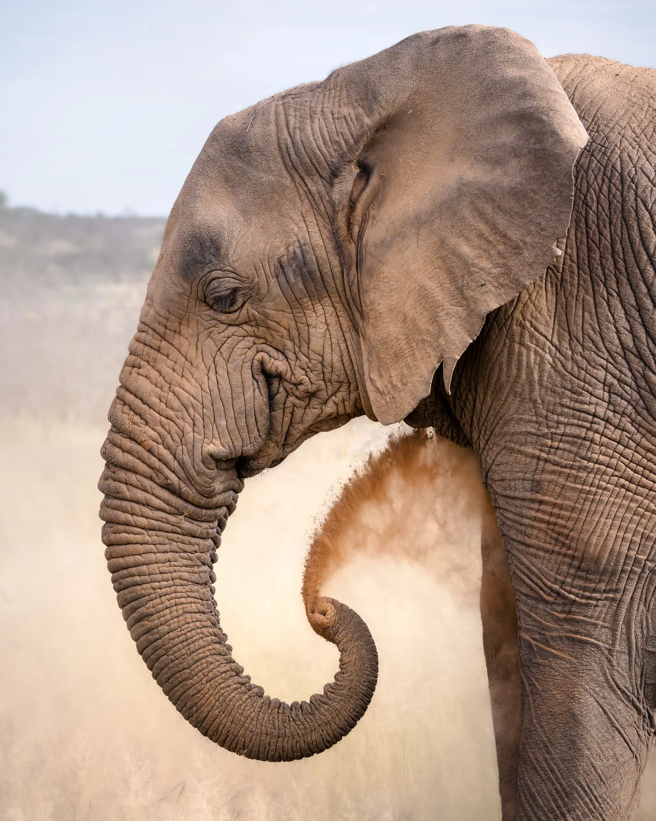 Jan Oelofse Hunting Safaris