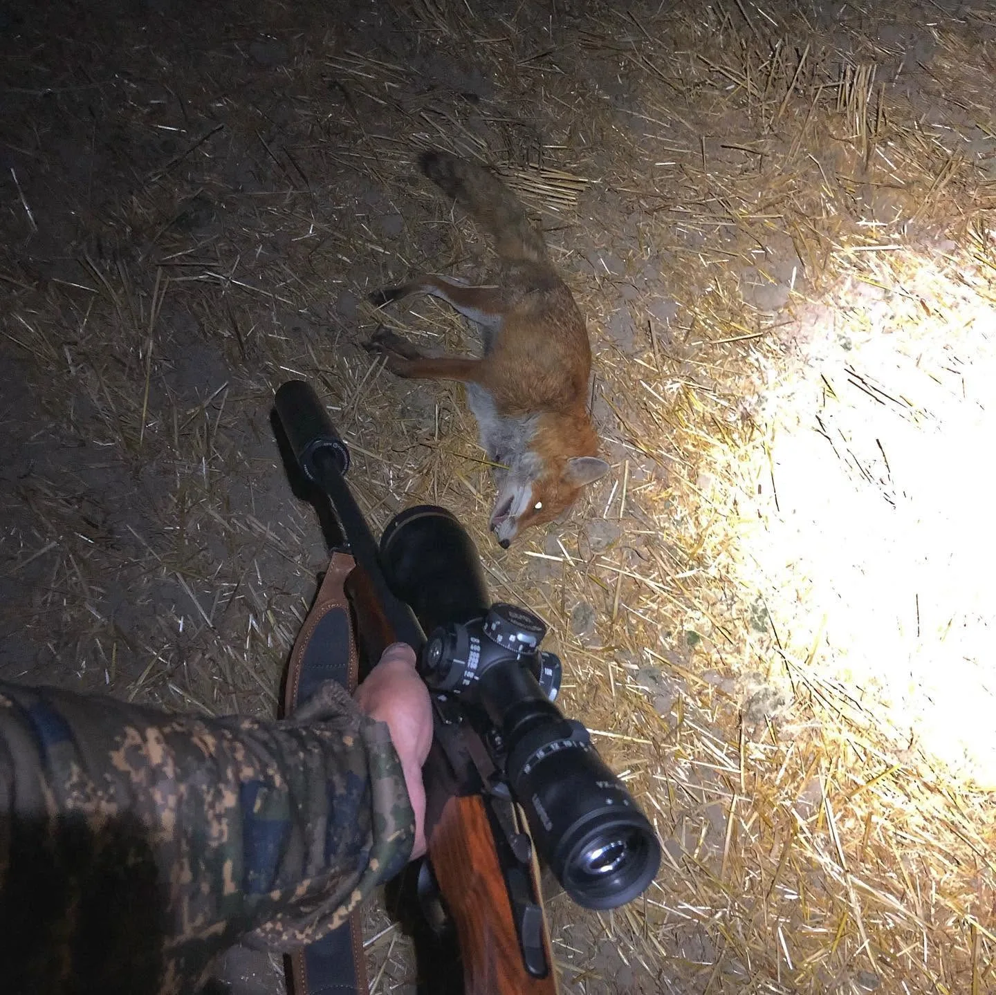 Kataneno Hunt