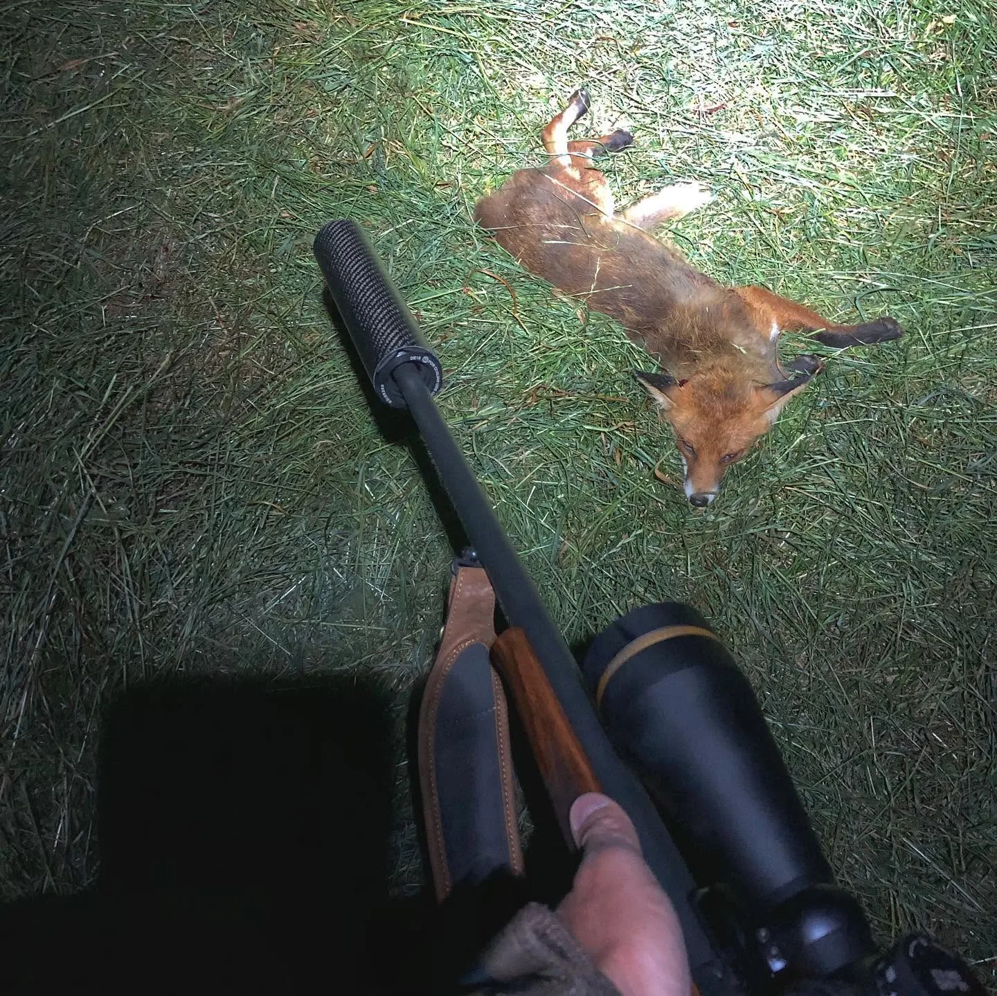 Kataneno Hunt
