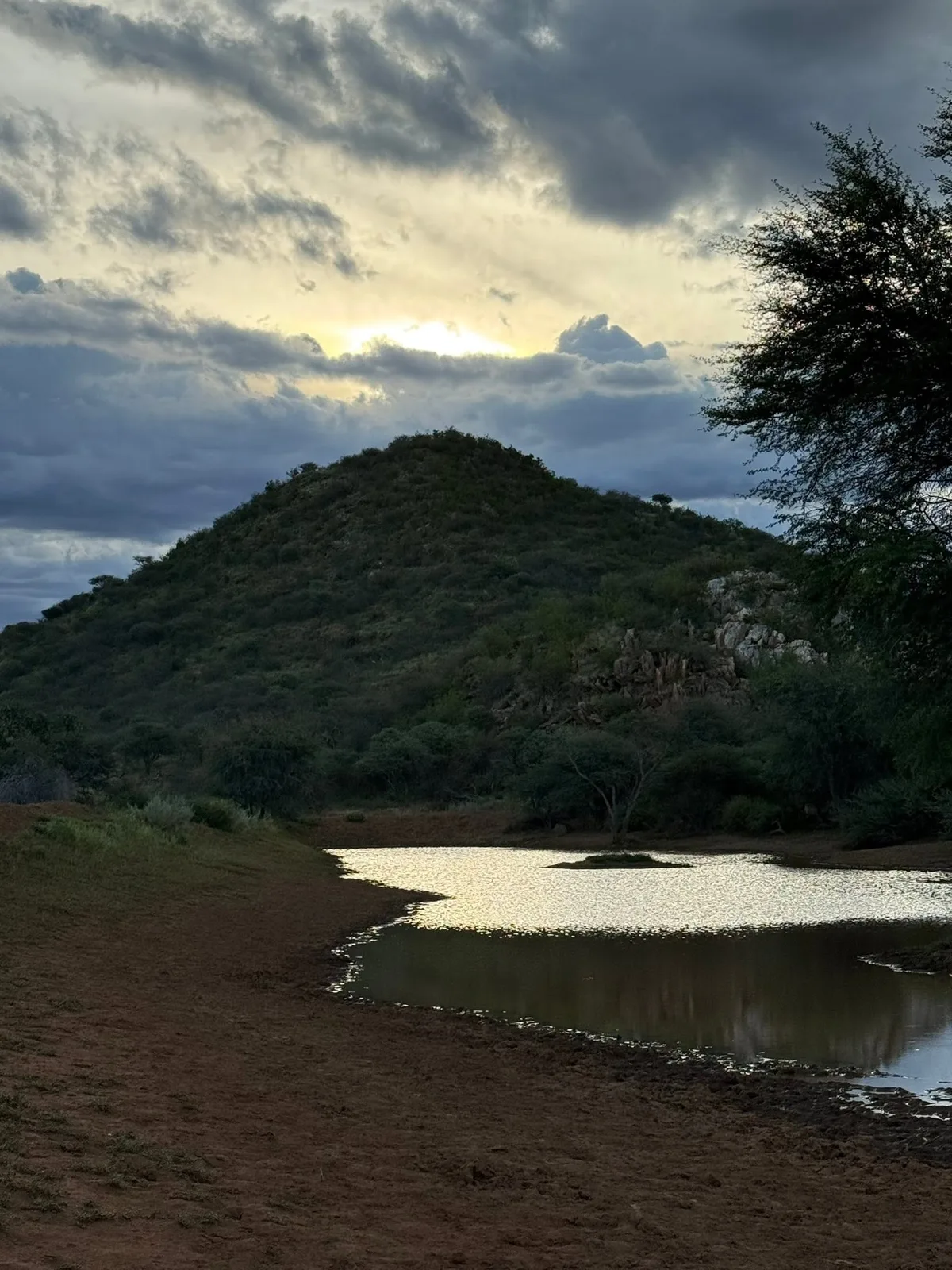 Ibenstein Hunting Safaris