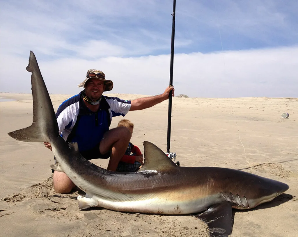 Fishing Safaris - Sharks