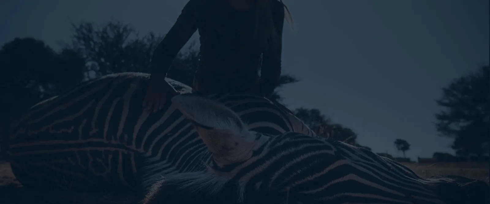 Likhulu Safaris