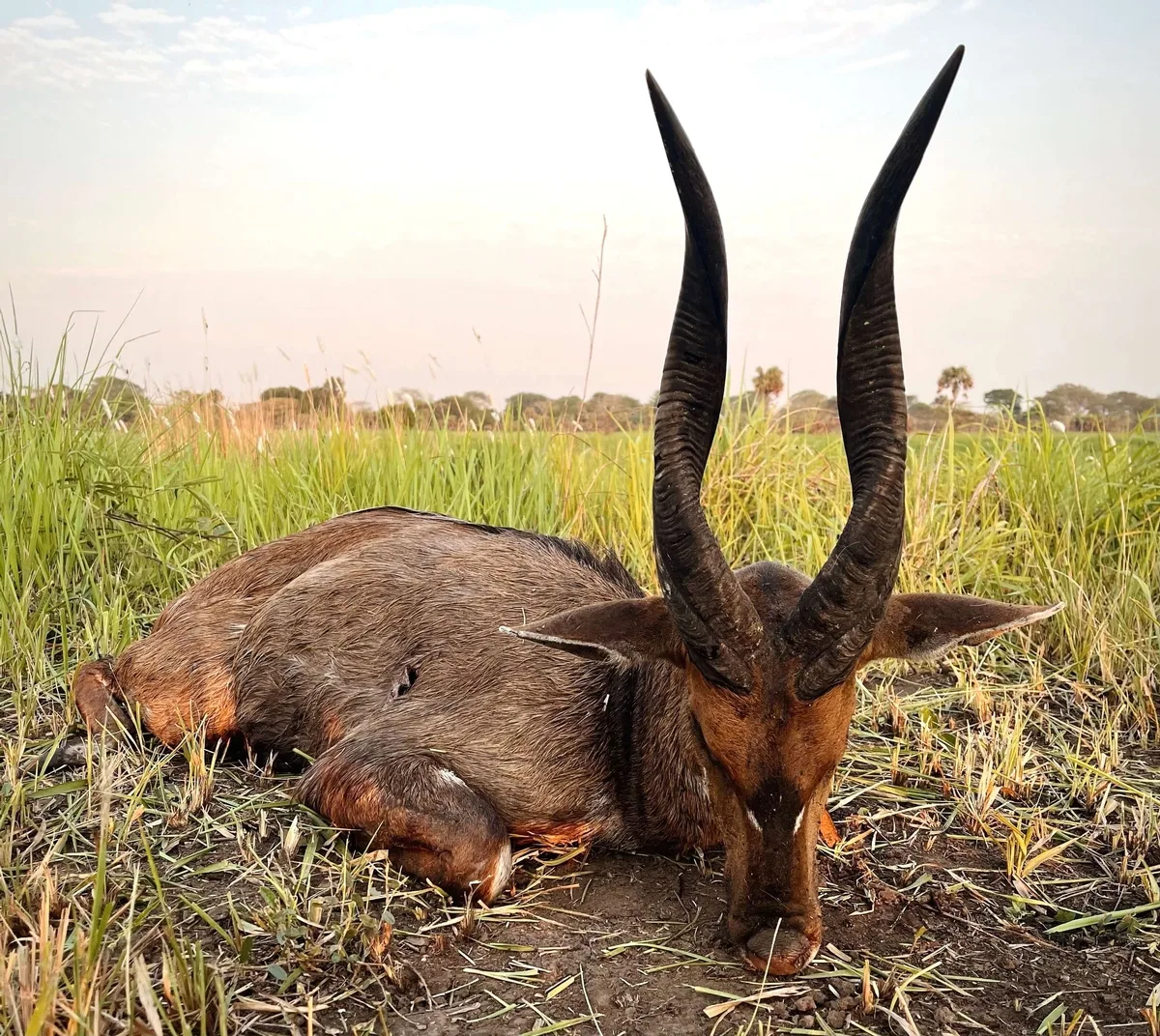 Mahimba Safaris