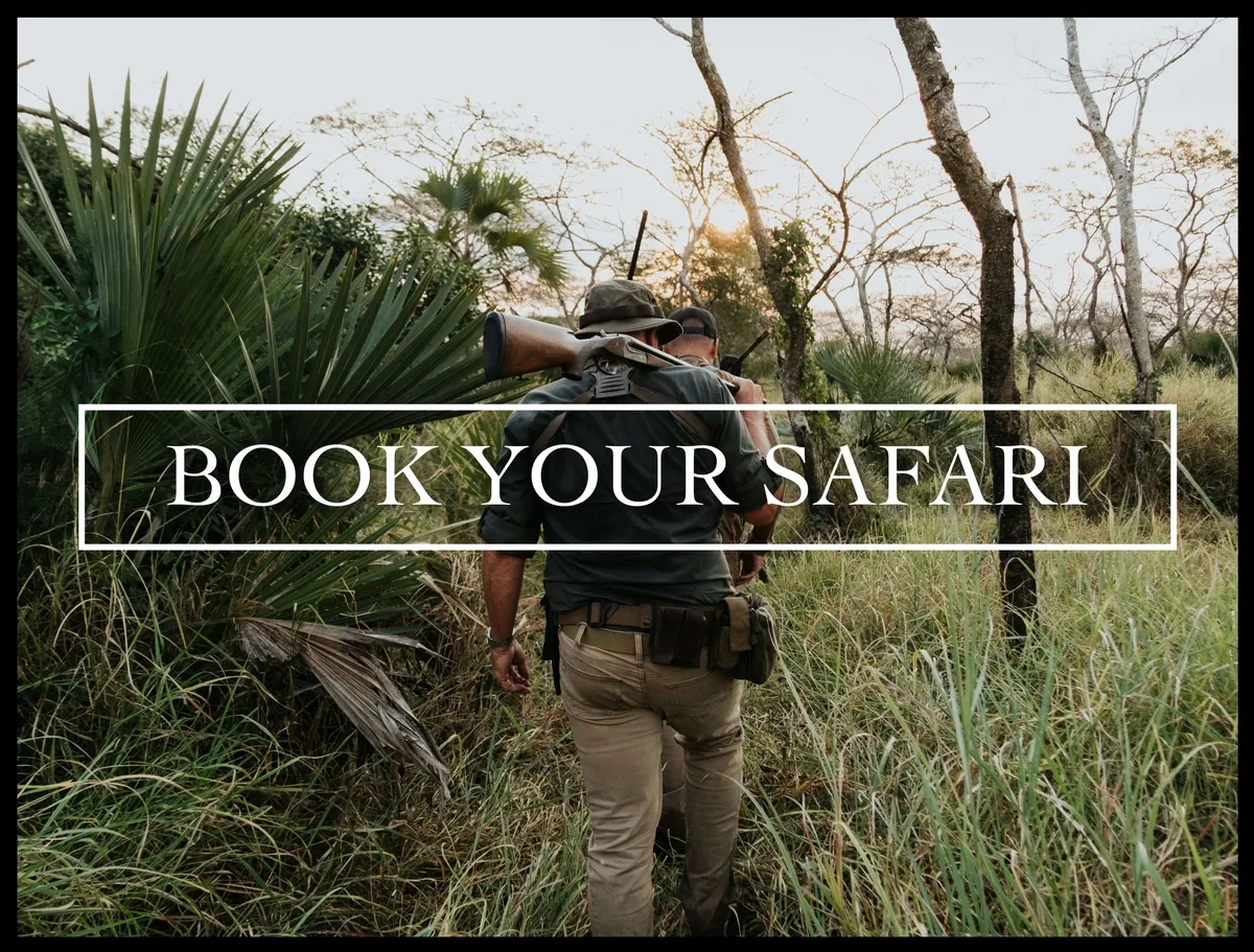 Mozambique Hunting Safaris