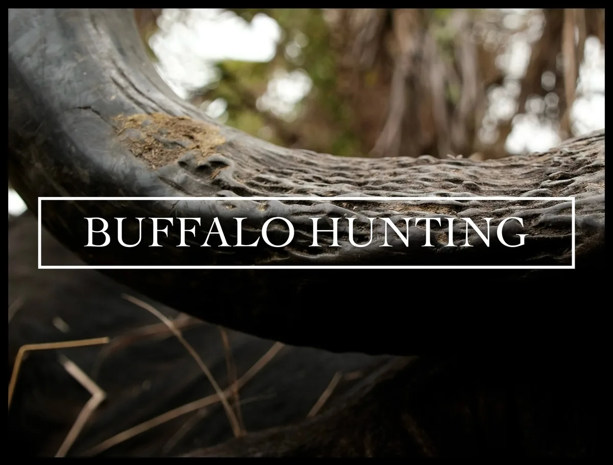 Mahimba Safaris