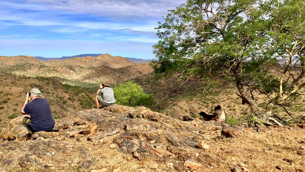 Mahonda Hunting Safaris