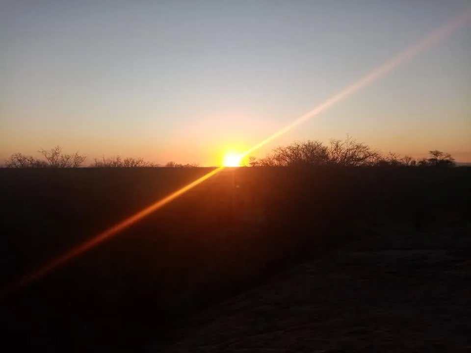 Namibia Trophy Hunting Safaris