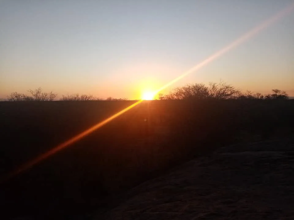 Namibia Trophy Hunting Safaris