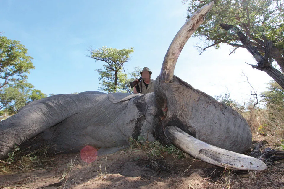 Ndumo Hunting Safaris