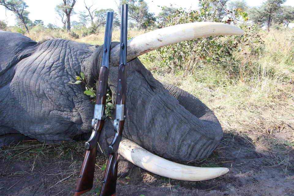 Ndumo Hunting Safaris