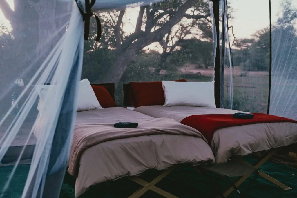 Ohorongo Safaris
