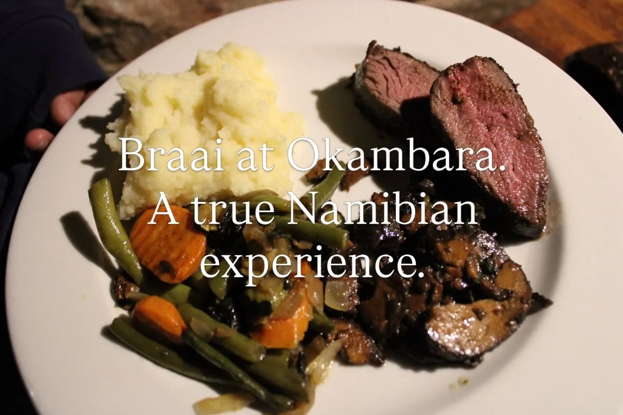 Okambara Elephant Lodge