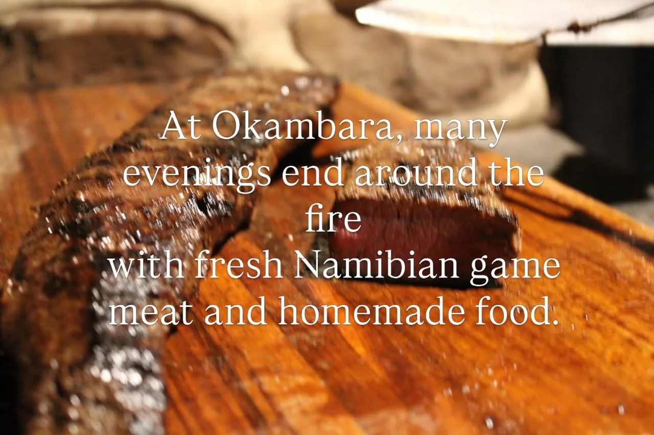 Okambara Elephant Lodge