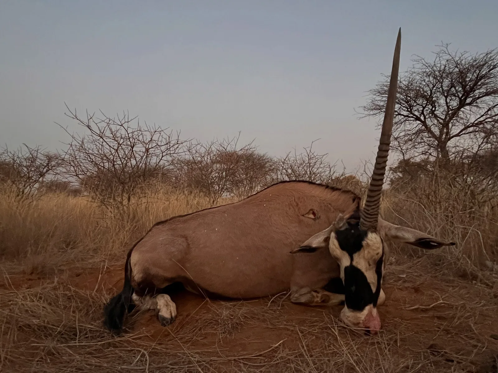 Okangawa Farming & Hunting Safaris