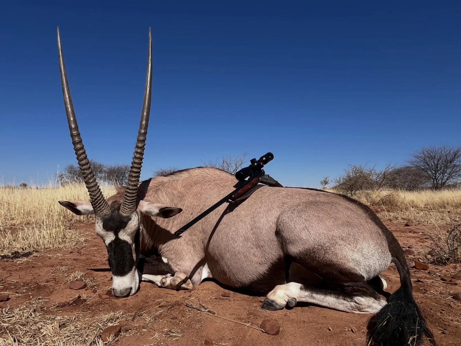 Okangawa Farming & Hunting Safaris