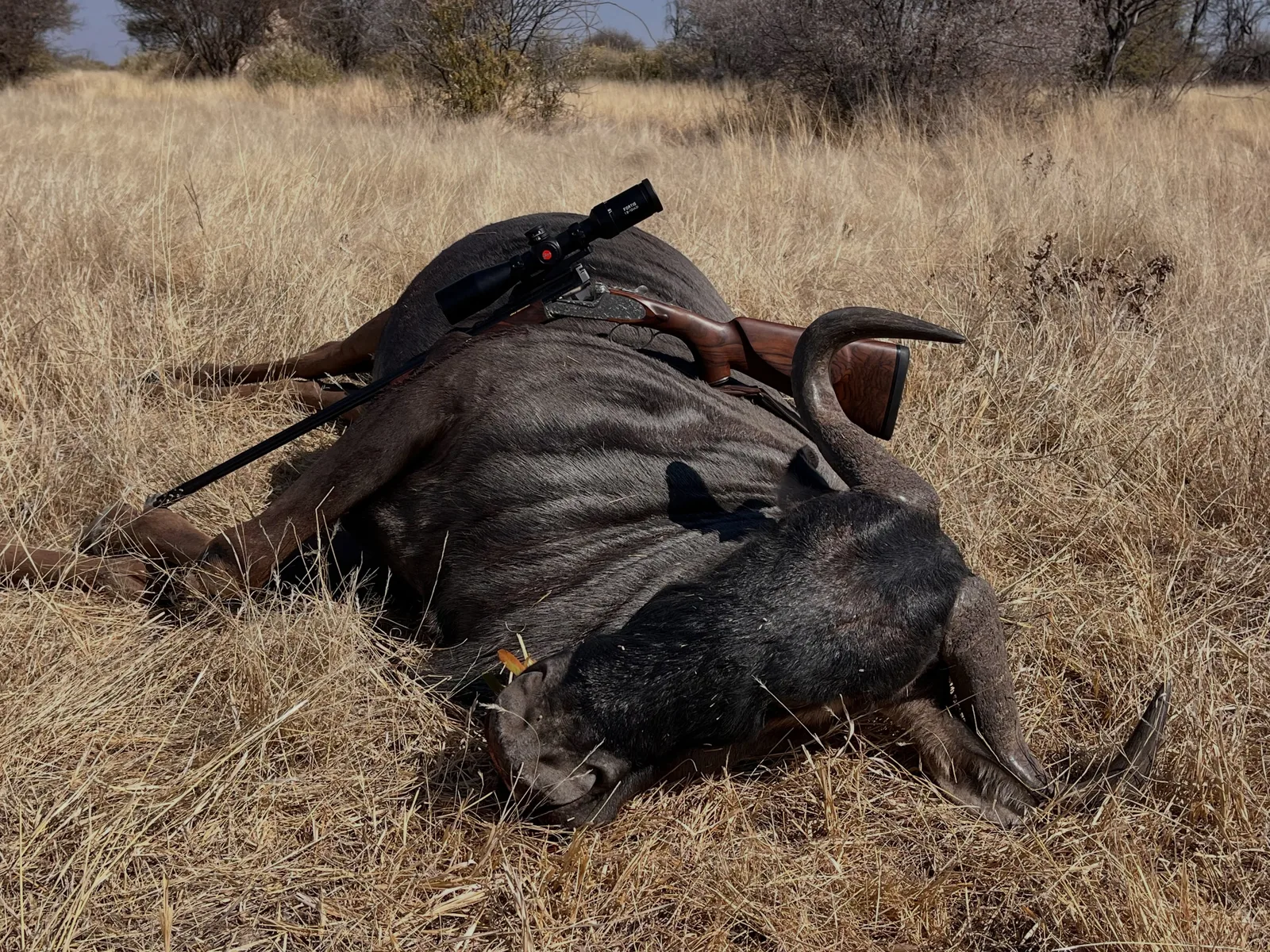 Okangawa Farming & Hunting Safaris