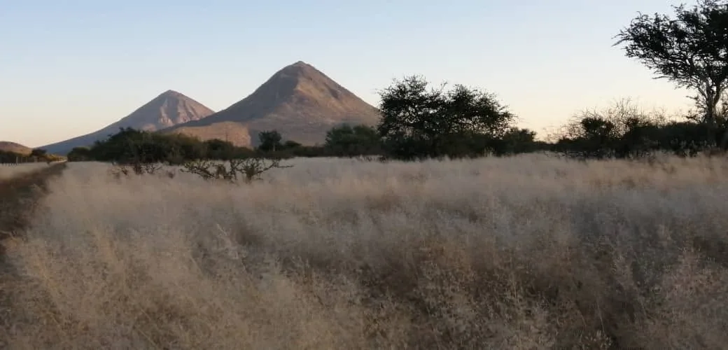 Okangawa Farming & Hunting Safaris