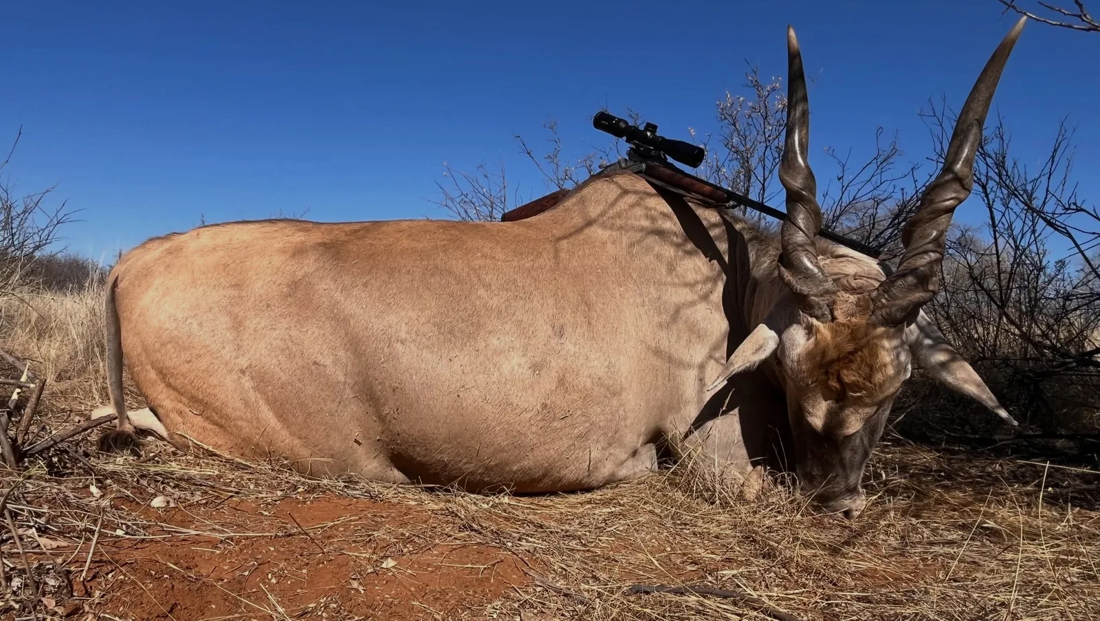 Okangawa Farming & Hunting Safaris