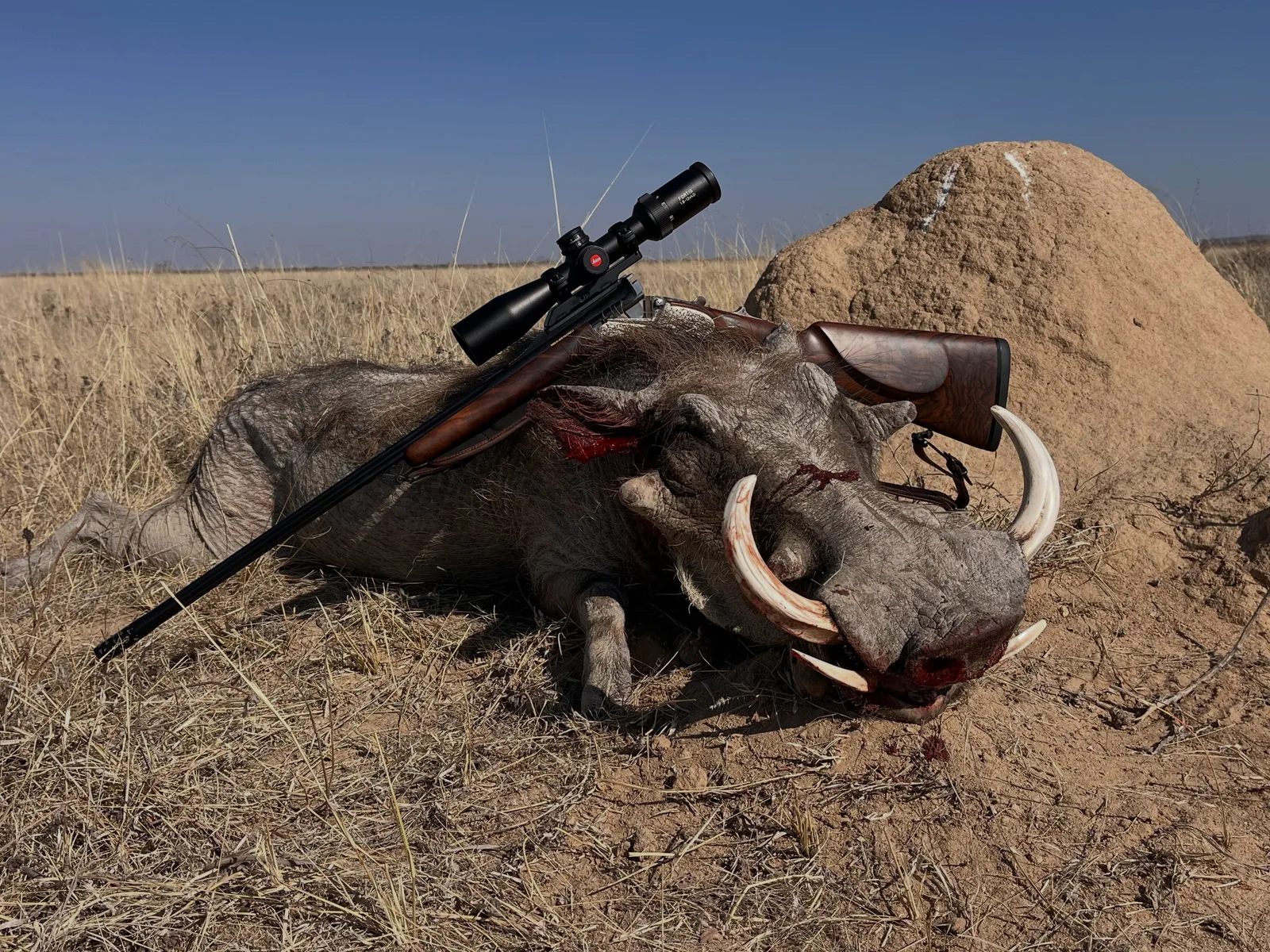 Okangawa Farming & Hunting Safaris