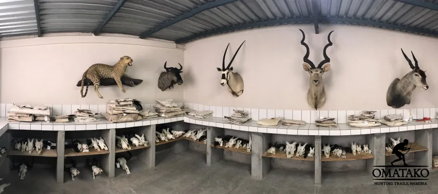 omatako-hunting-namibia-taxidermy-900px