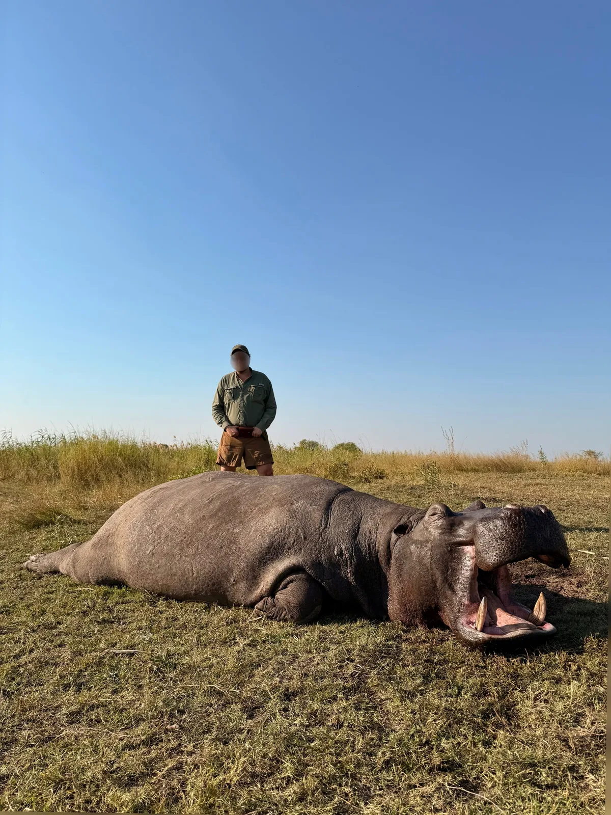 Ondjou Safaris