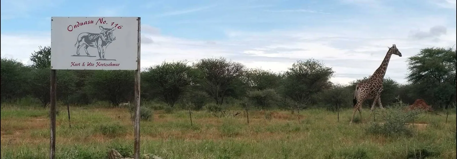 Onduasu Jagd