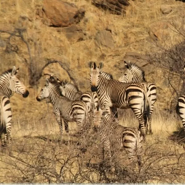 Onduno Hunting
