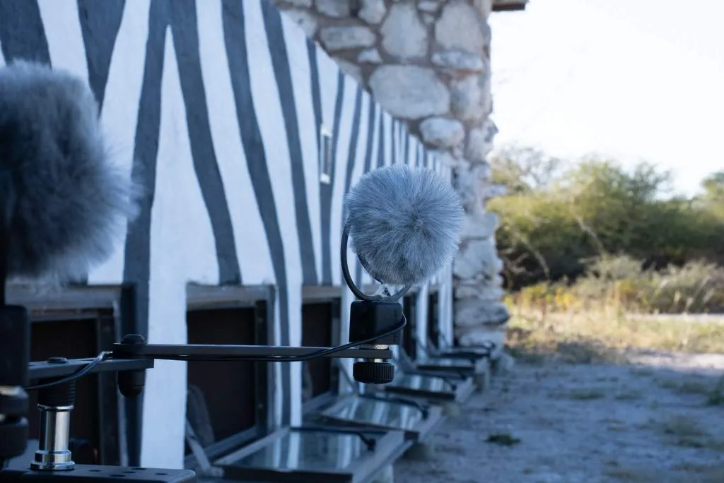 Microphones outside Hide