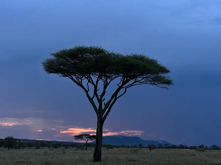 Orio Wildlife Safaris