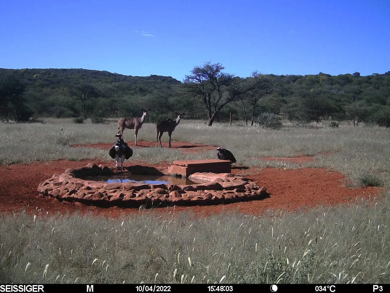 Otjikoko Game Ranch