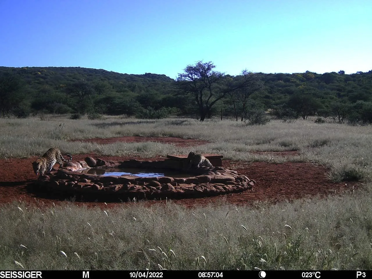 Otjikoko Game Ranch