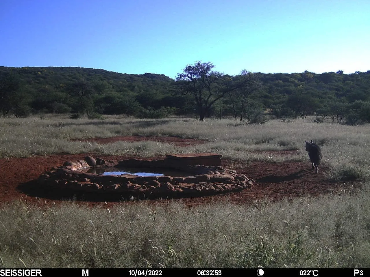 Otjikoko Game Ranch
