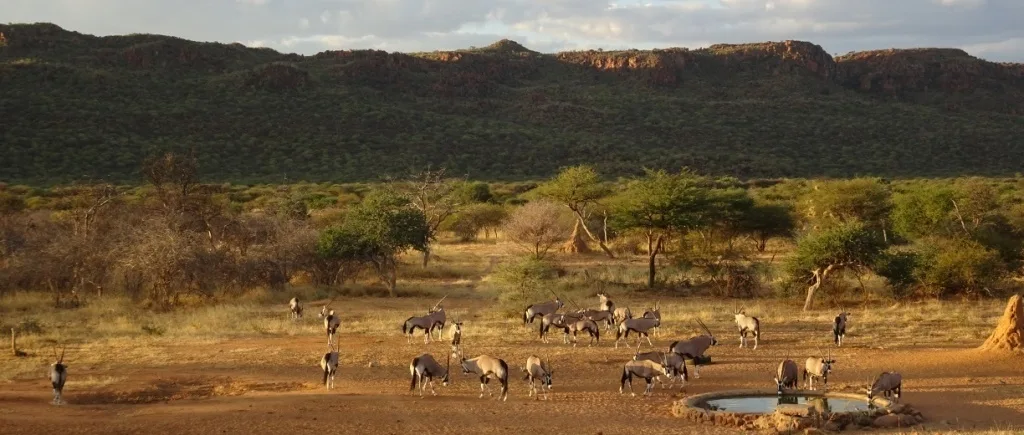 Otjiruze Safaris CC