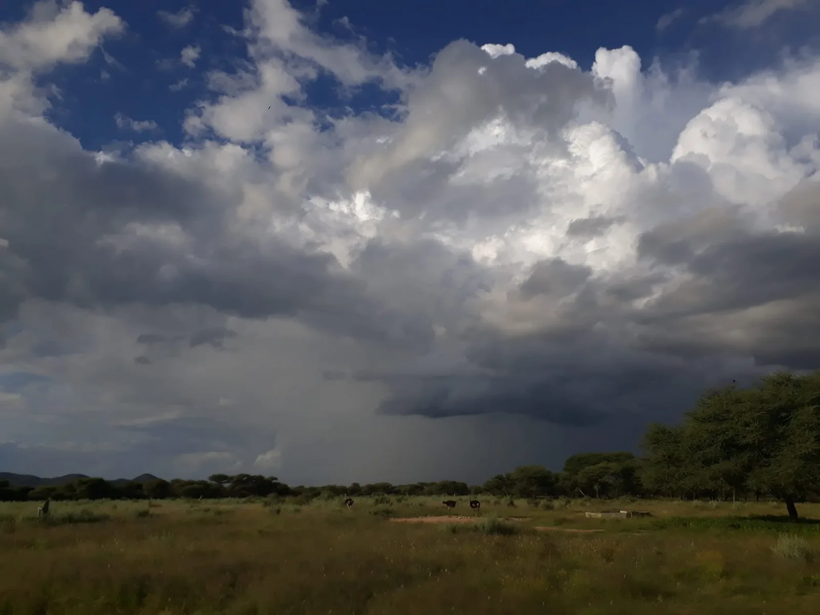 Ozondjahe Safaris