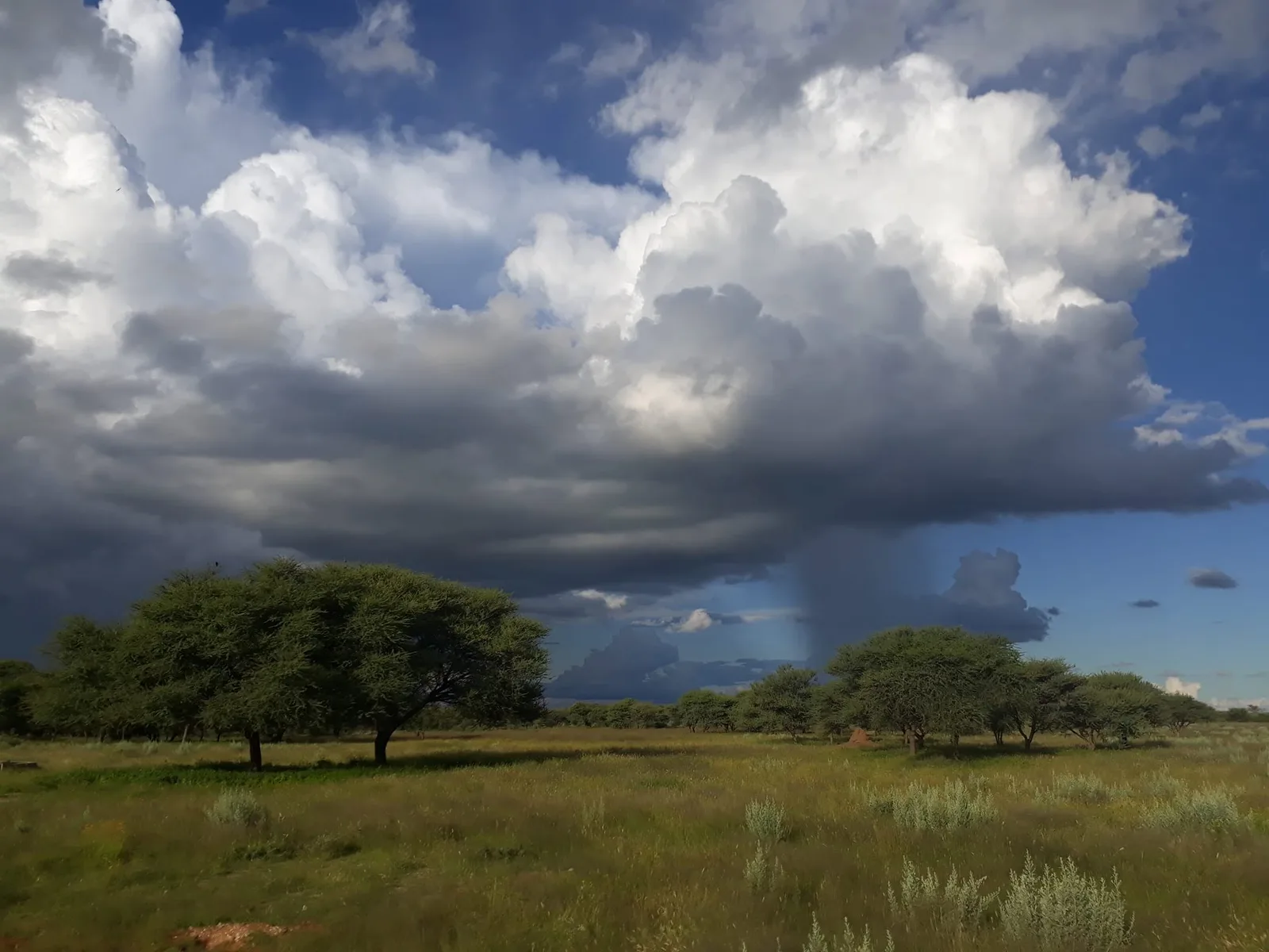 Ozondjahe Safaris