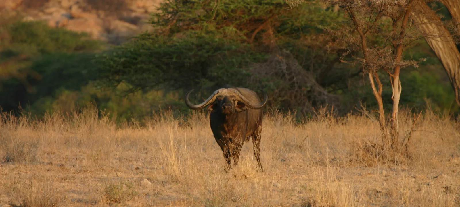 ethical-hunting