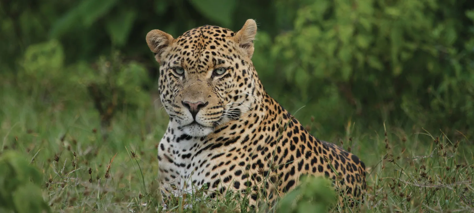big-game-hunting-tanzania