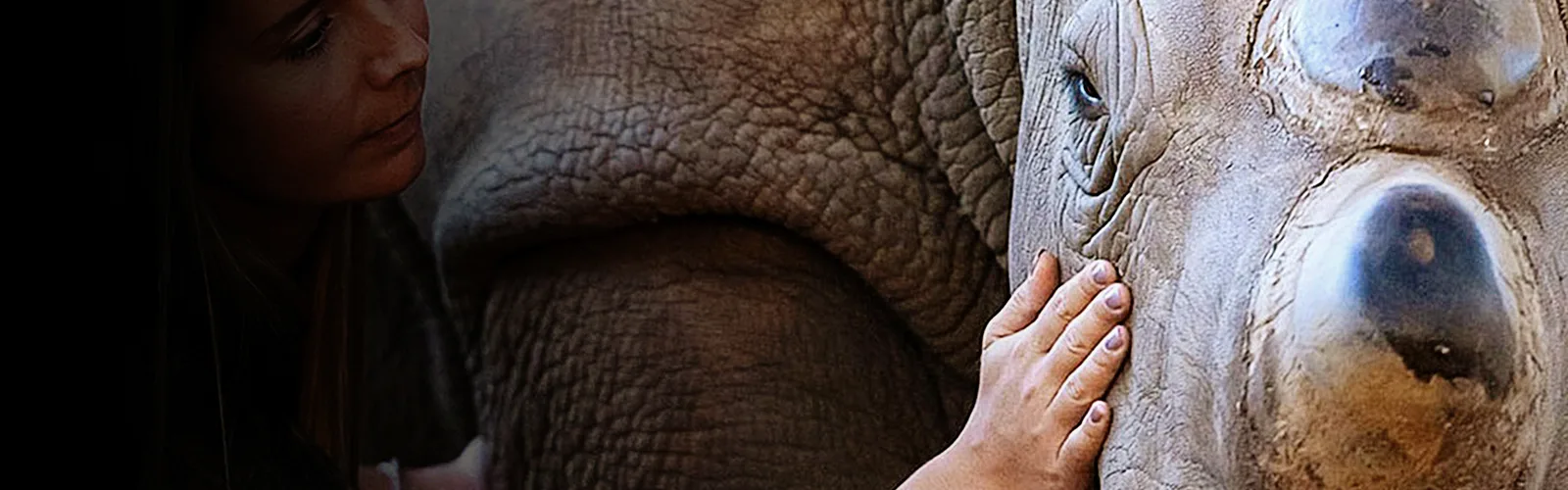 Rockwood Rhino Protection