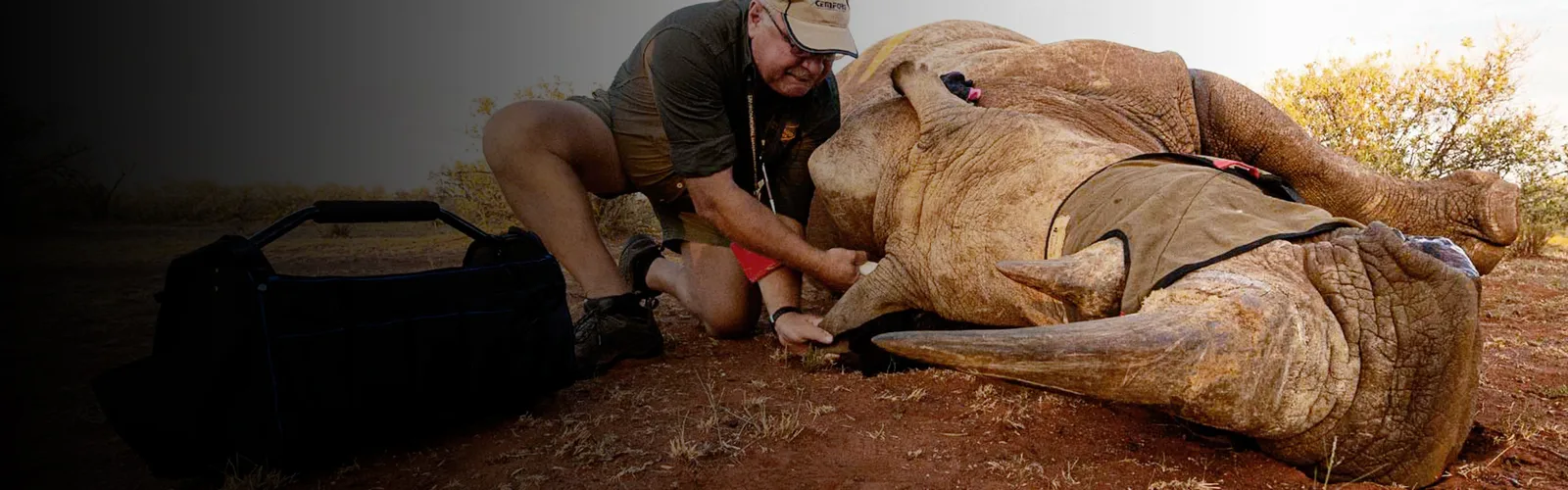 Rockwood Rhino Care