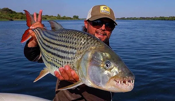 Tiger Fishing &amp; Wildlife Photography