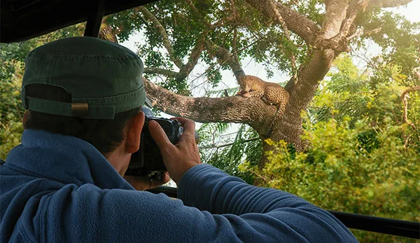 Photographic Safaris