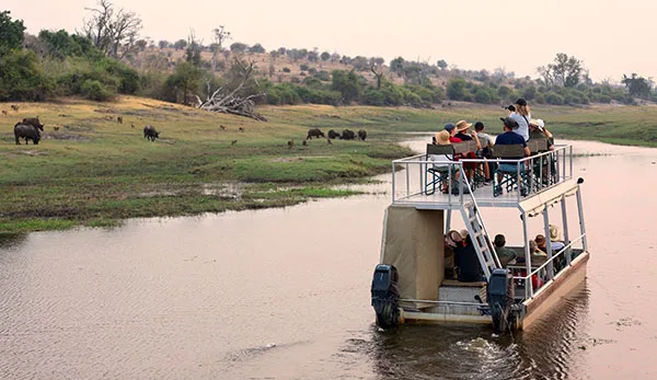 Chobe River Cruise – Botswana