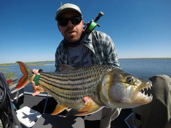 Tiger Fishing on the Zambezi River