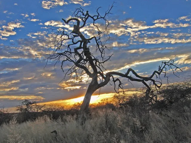 Namibia is a dream come true!