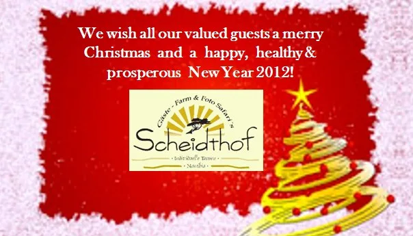 Merry Christmas and a happy New Year 2012
