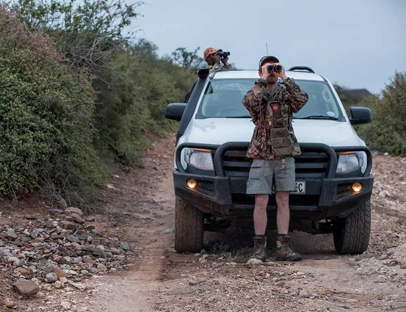 Thorndale Safari