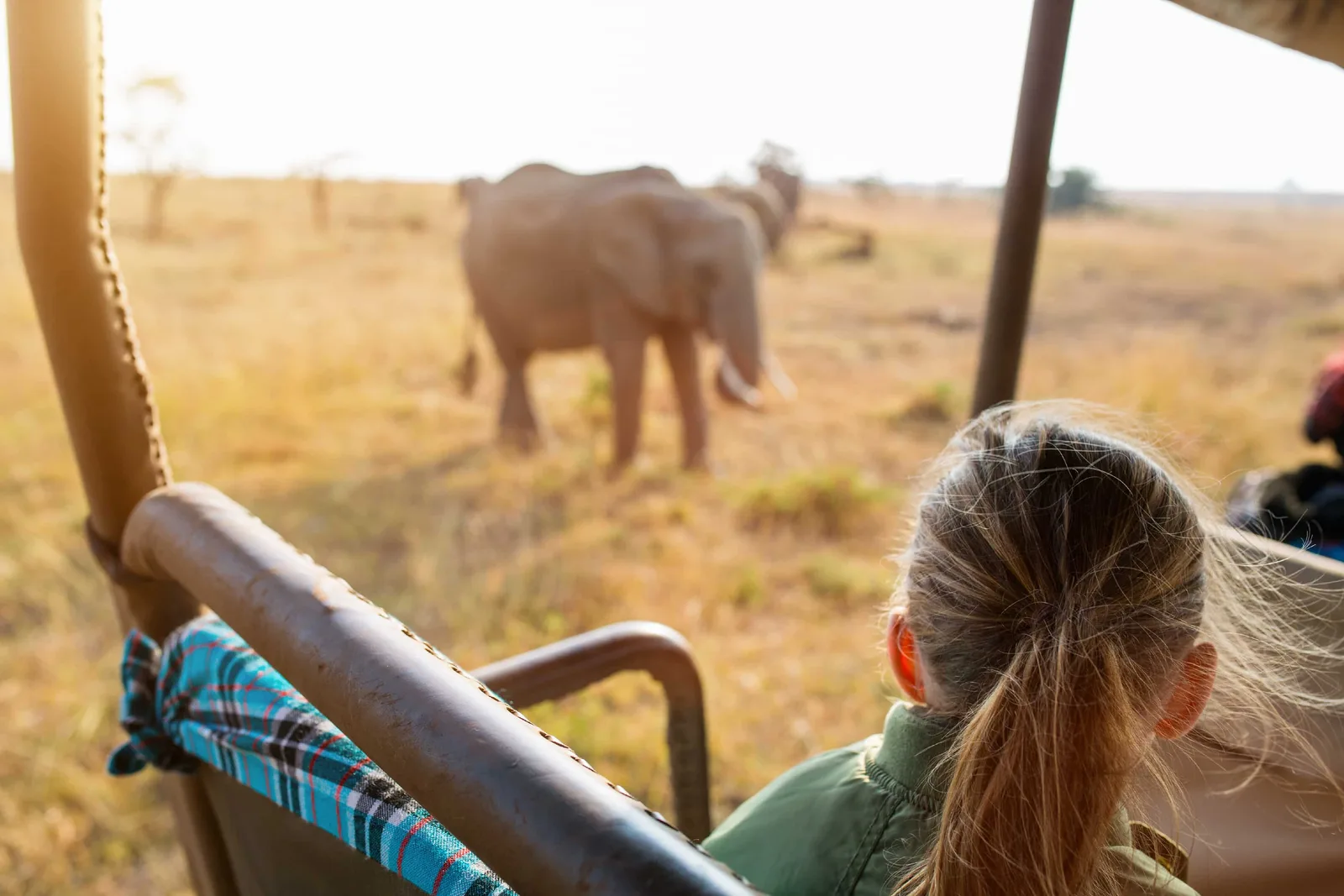 Family Safaris in Africa