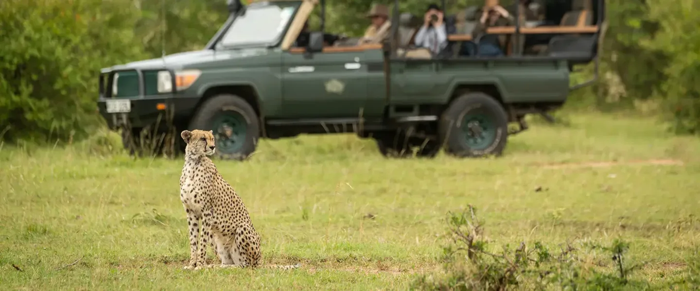 Traditional African Safaris Ltd